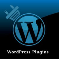Corso Wordpress Plugins Padova - Corso avanzato di Wordpress plugins Padova Specialist