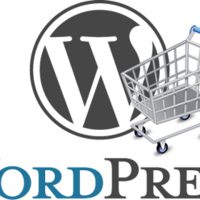 Corso e-commerce Padova - Corso avanzato di Wordpress per ecommerce Padova Specialist